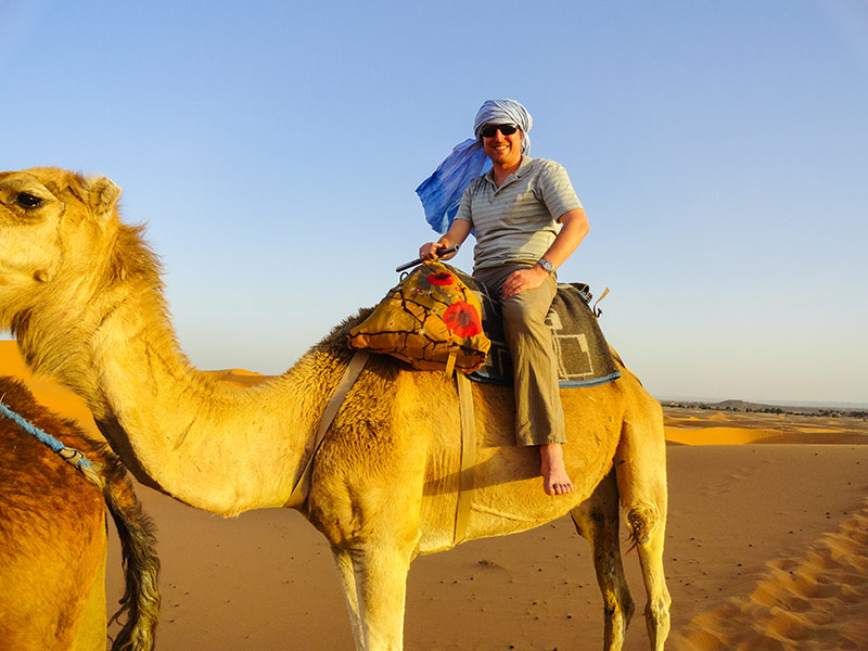 Morocco desert camel