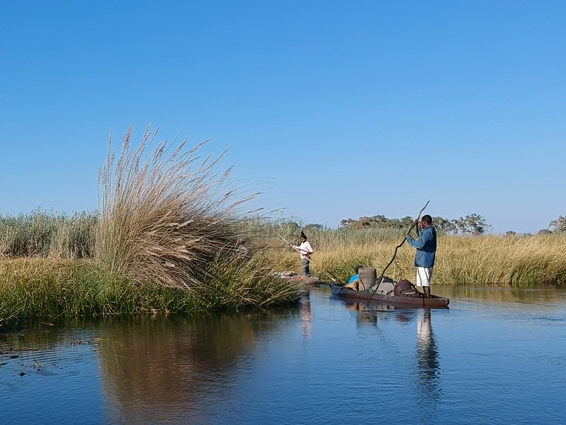 Canoo Delta Botswana