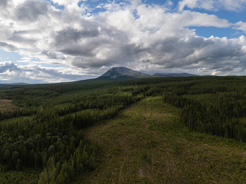 berjes-zweden-10