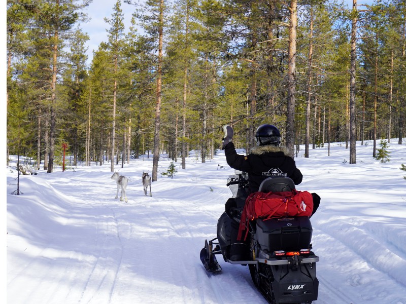 finnish-lapland-wilderness-hut-expedition-411