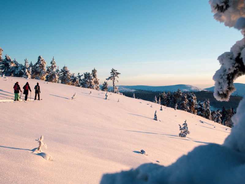 forest-skiing3